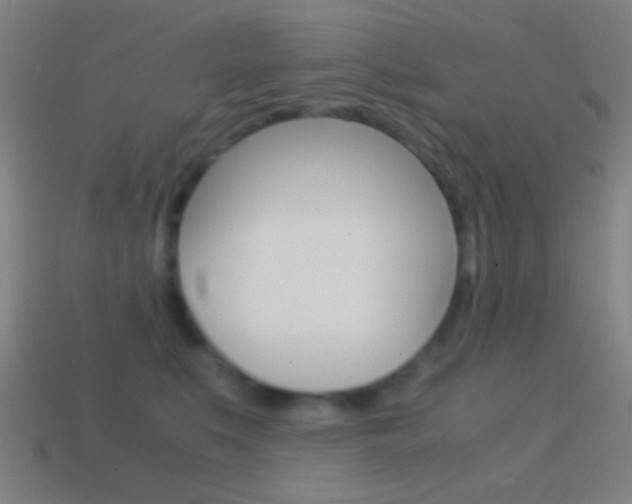 X0000114700519200910211012