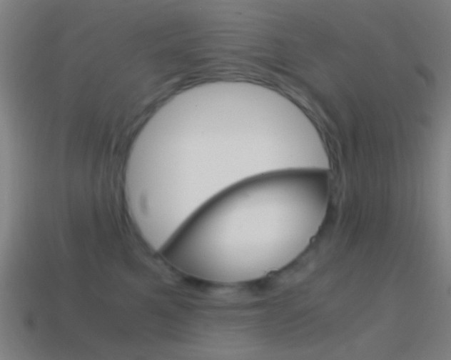 X0000114700521200910211012