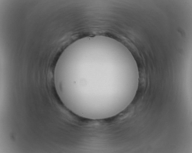 X0000114700523200910211012