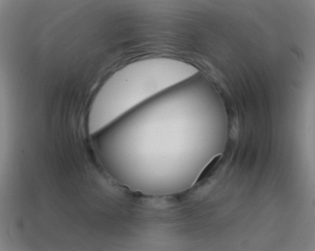 X0000114700524200910211012