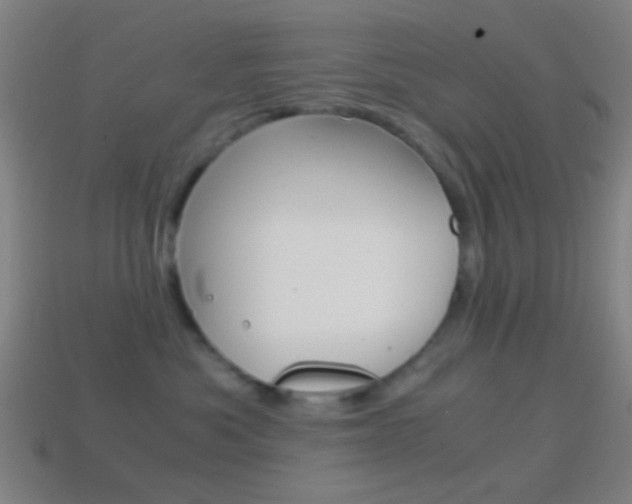 X0000114700525200910211012