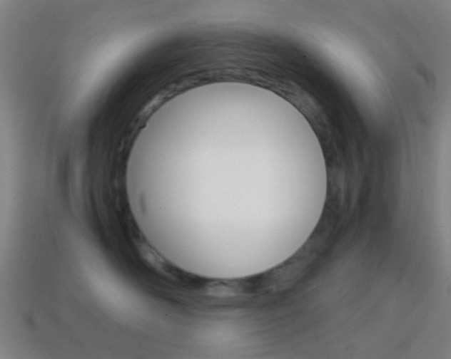 X0000114700526200910211012