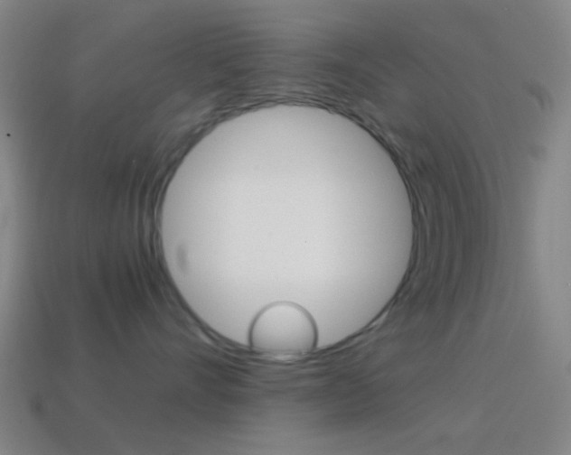 X0000114700528200910211012
