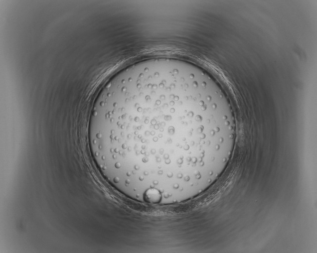 X0000114700529200910211011