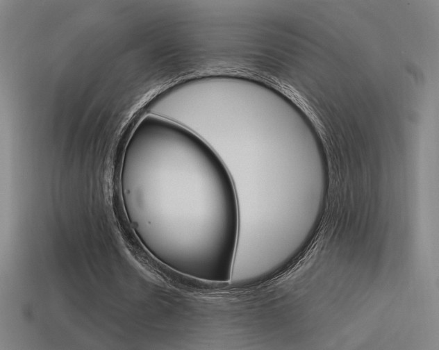 X0000114700530200910211011