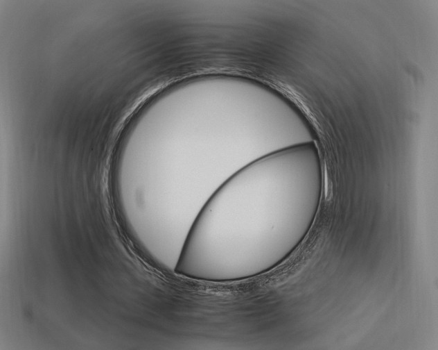 X0000114700531200910211011