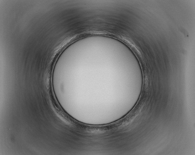 X0000114700533200910211011
