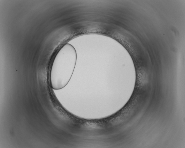 X0000114700534200910211011