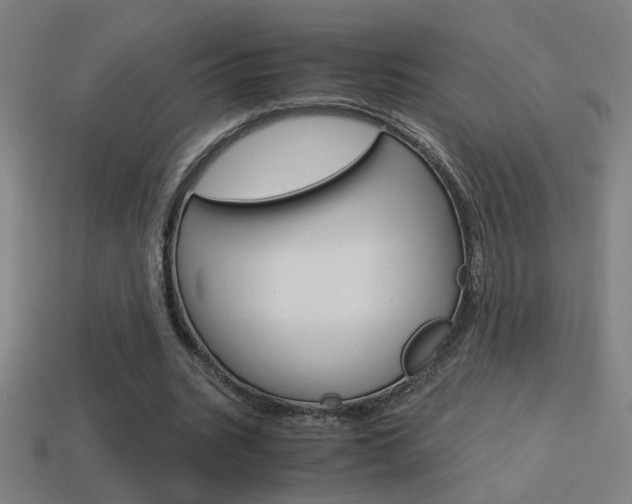 X0000114700535200910211011