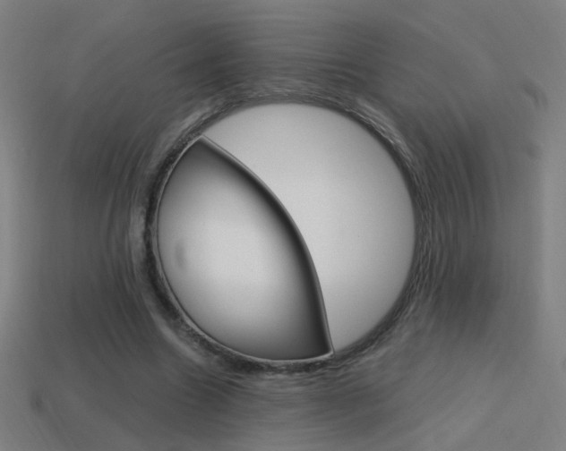X0000114700538200910211011