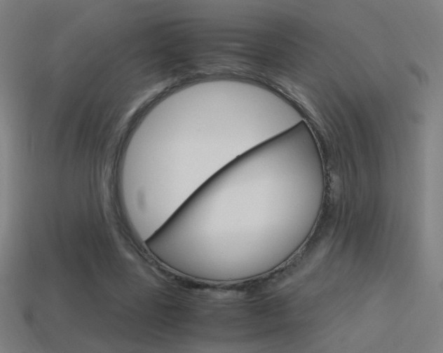 X0000114700539200910211011