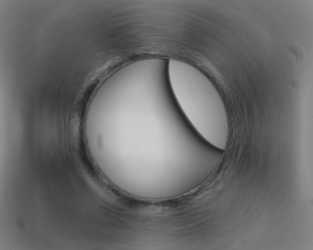 X0000114700542200910211011