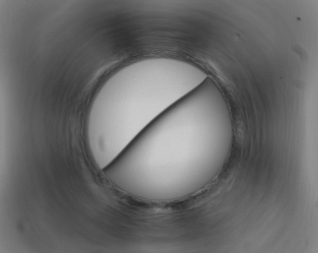 X0000114700543200910211011
