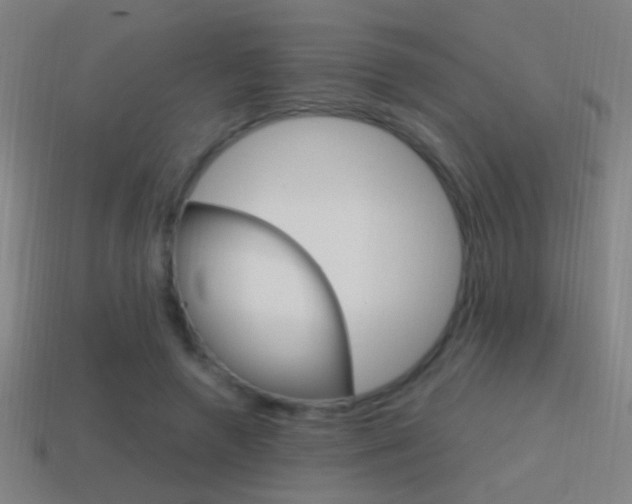 X0000114700546200910211011