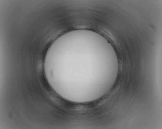 X0000114700549200910211011