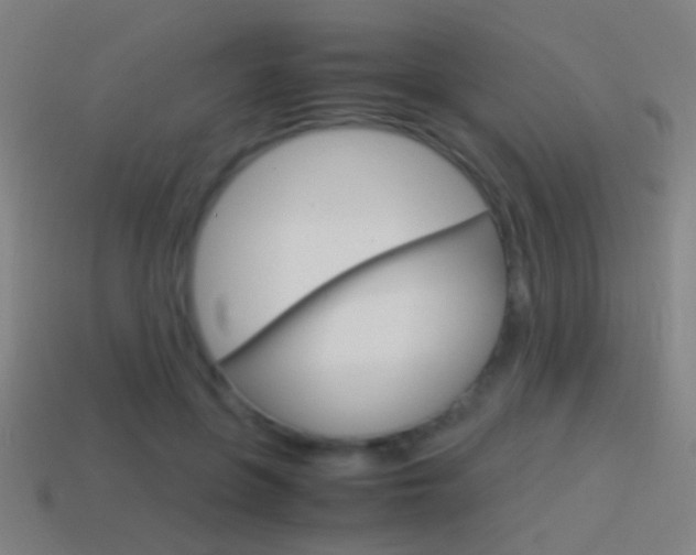 X0000114700551200910211011