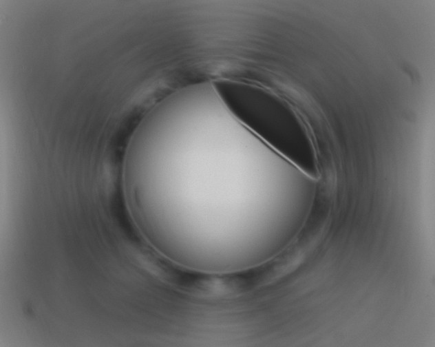 X0000114700558200910211011