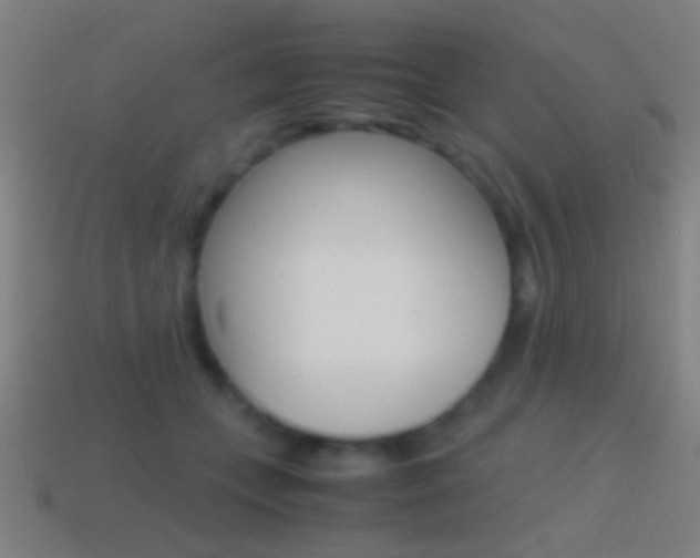 X0000114700559200910211011