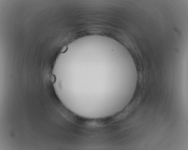 X0000114700561200910211011