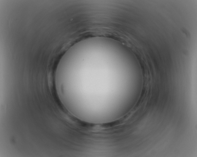 X0000114700562200910211011