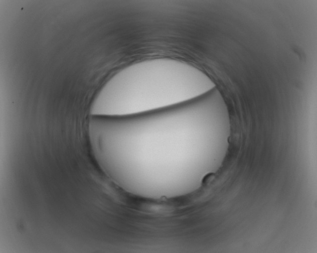 X0000114700563200910211011