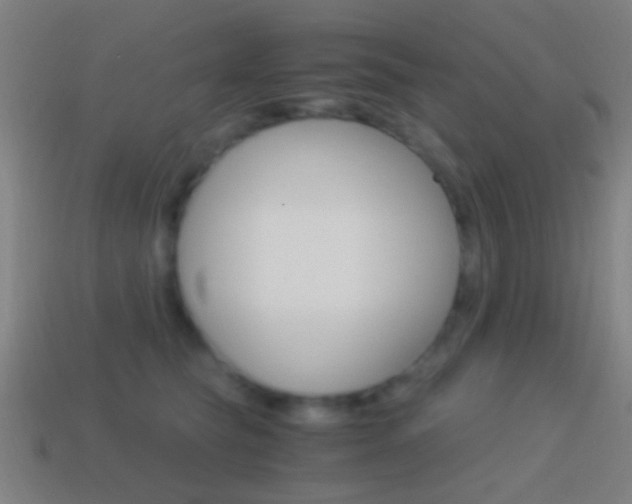 X0000114700565200910211011