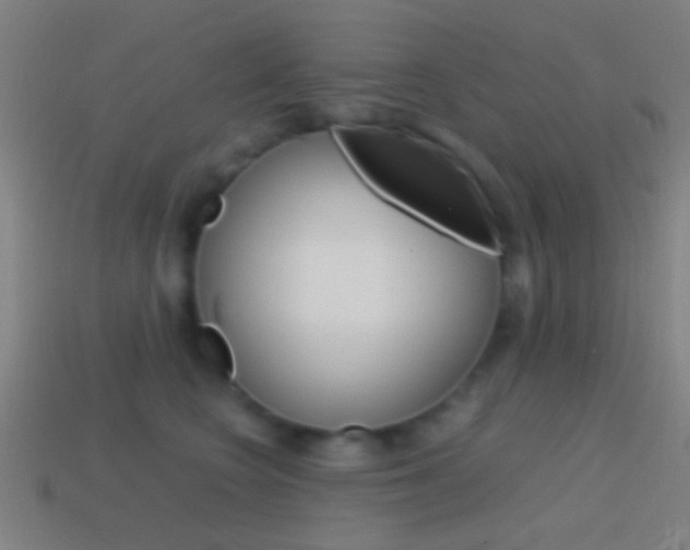 X0000114700566200910211011