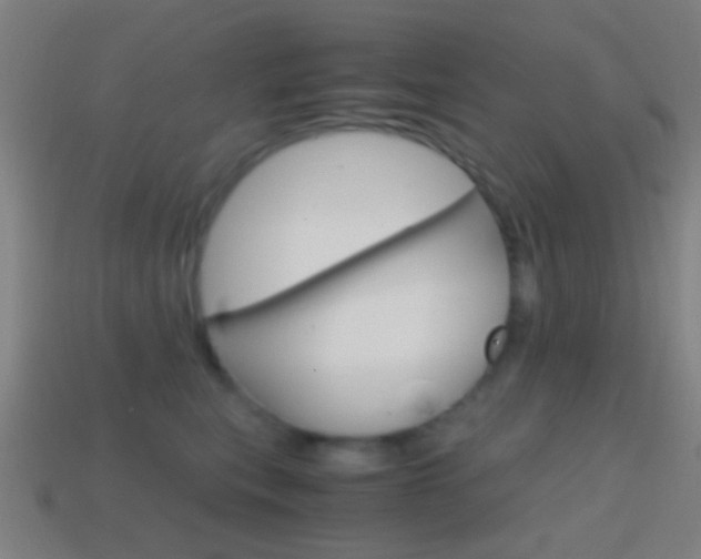 X0000114700567200910211011
