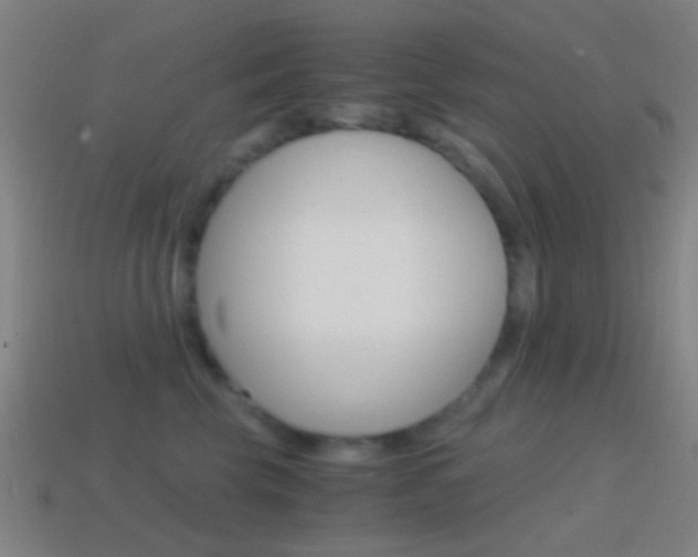 X0000114700569200910211011