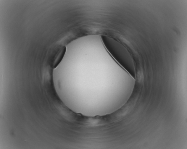 X0000114700570200910211011