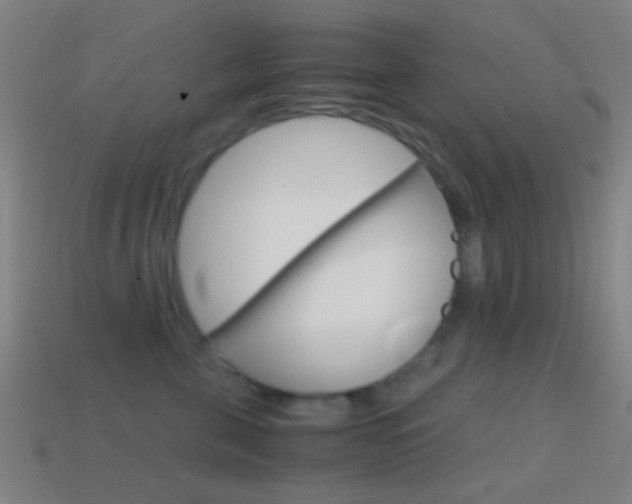 X0000114700571200910211011