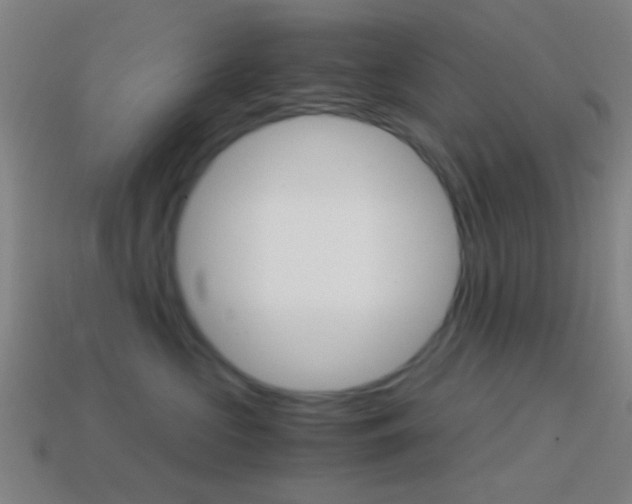 X0000114700573200910211011