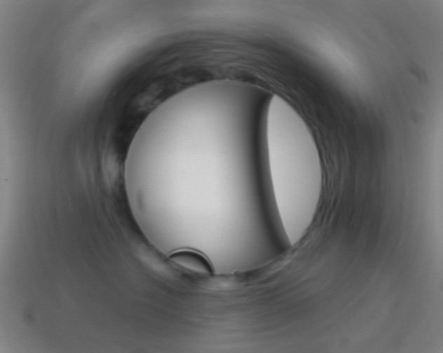 X0000114700574200910211012