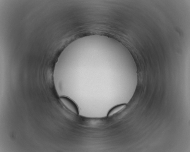 X0000114700575200910211012