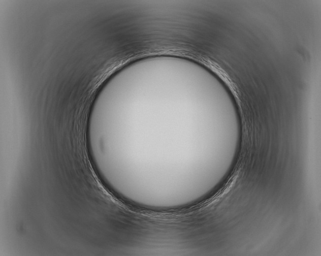 X0000114700577200910211011