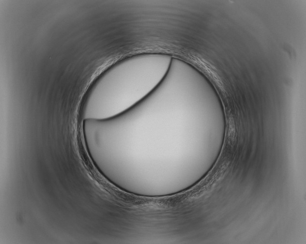 X0000114700578200910211011