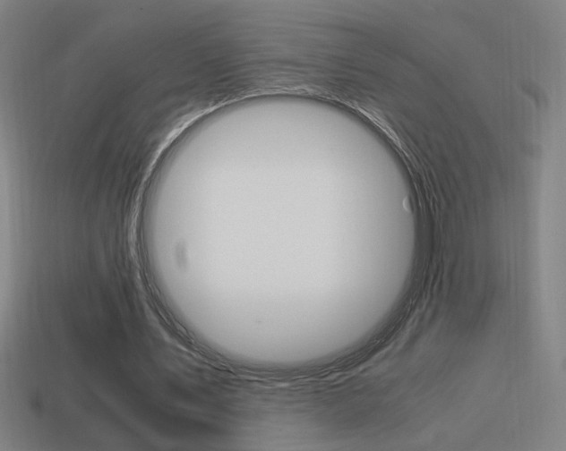 X0000114700579200910211011