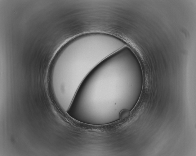 X0000114700580200910211011