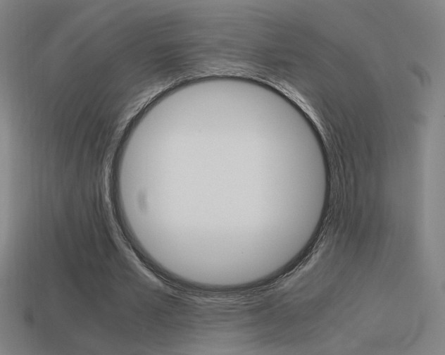 X0000114700581200910211011