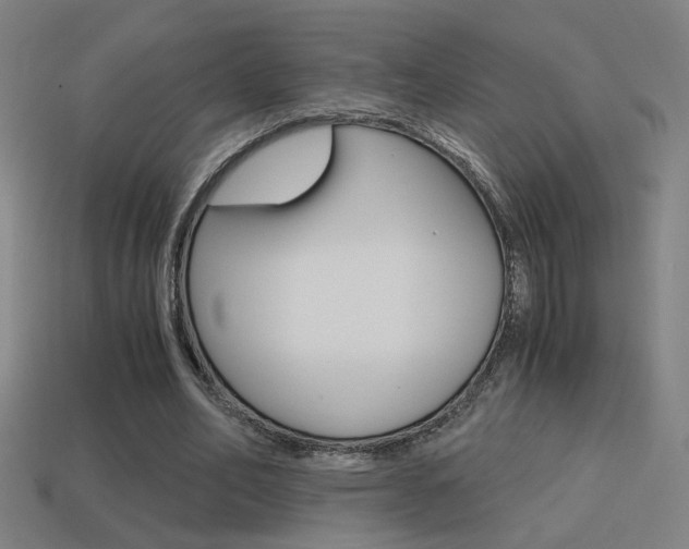 X0000114700582200910211011