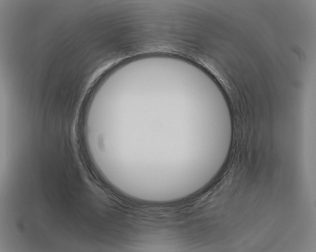 X0000114700583200910211011