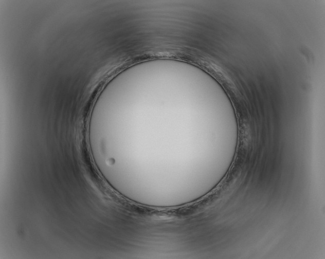 X0000114700586200910211011