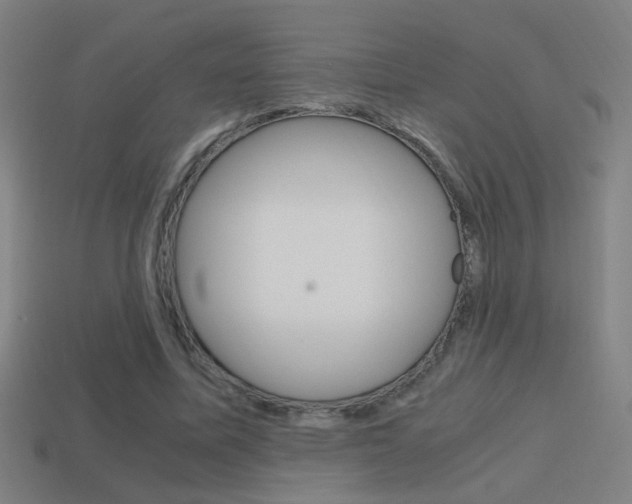 X0000114700587200910211011