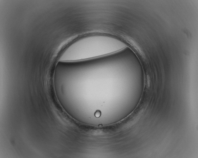 X0000114700588200910211011