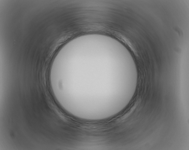 X0000114700589200910211011