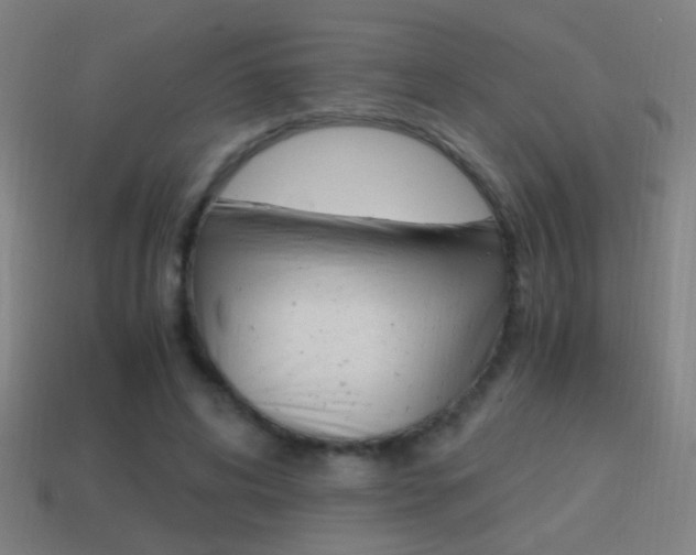 X0000114700592200910211011
