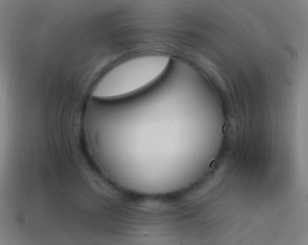 X0000114700596200910211011