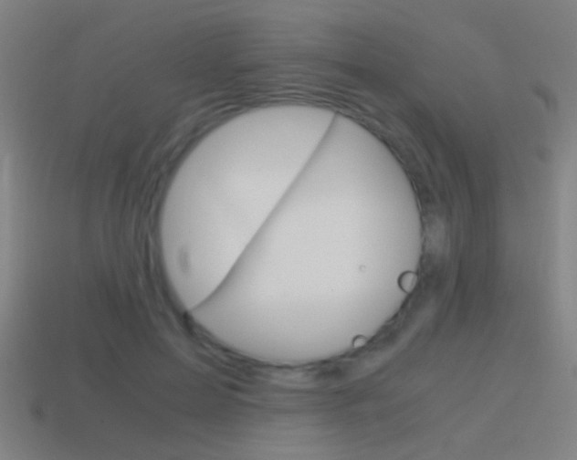 X0000114700599200910211011
