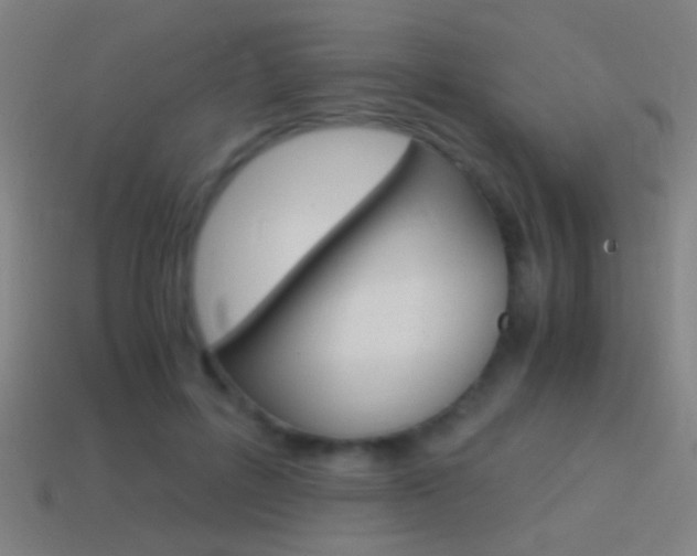 X0000114700600200910211011