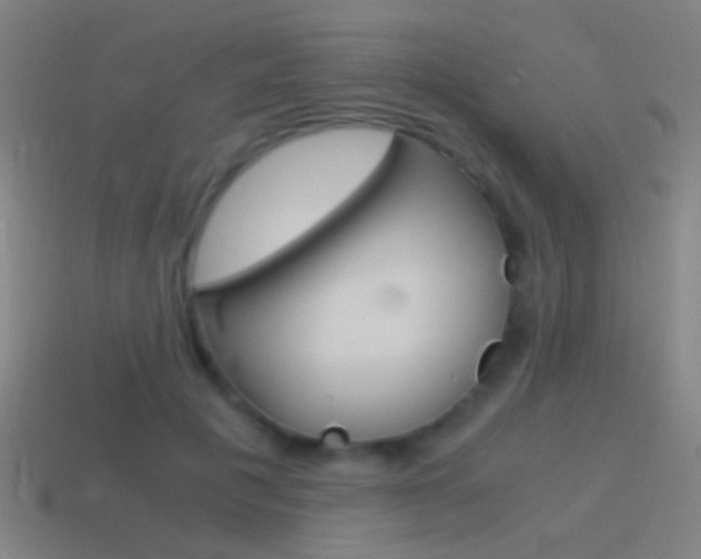 X0000114700601200910211011